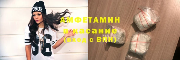 крисы Бронницы