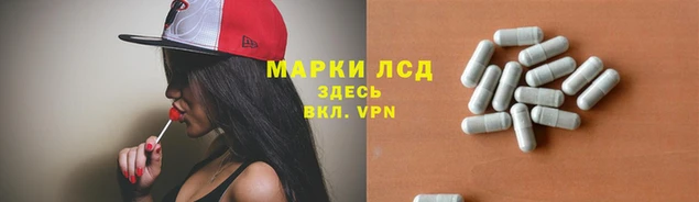крисы Бронницы
