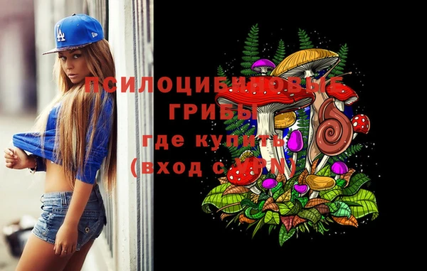 крисы Бронницы