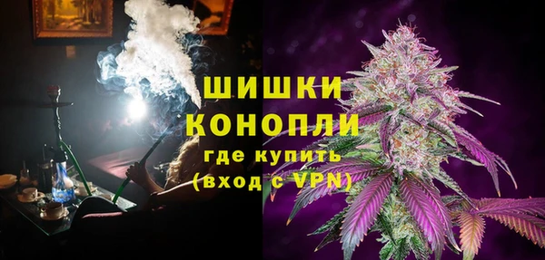 крисы Бронницы