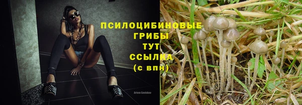 первитин Бородино