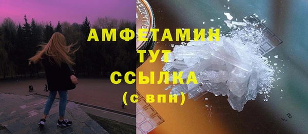 крисы Бронницы