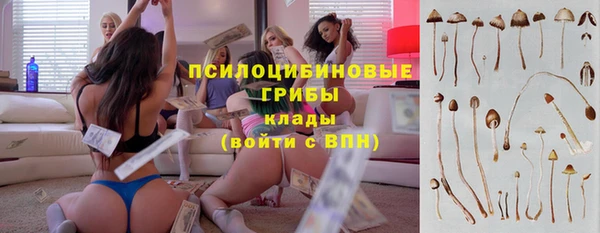 первитин Бородино